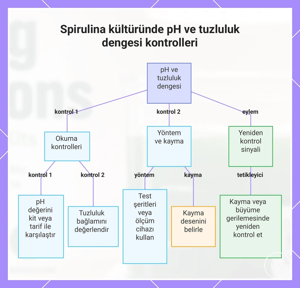 Spirulina kültüründe pH ve tuzluluk dengesi kontrolleri