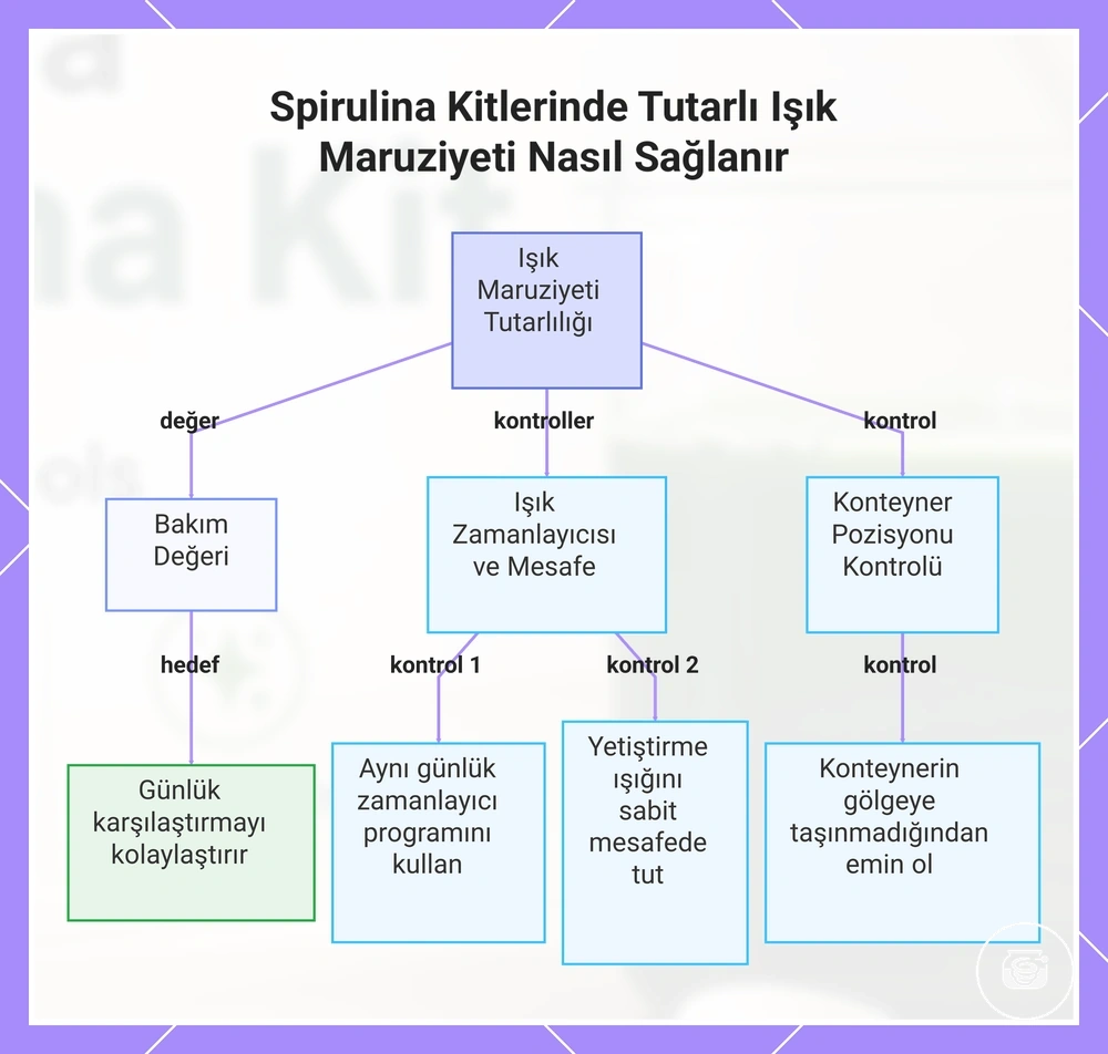 Spirulina Kitlerinde Tutarlı Işık Maruziyeti Nasıl Sağlanır