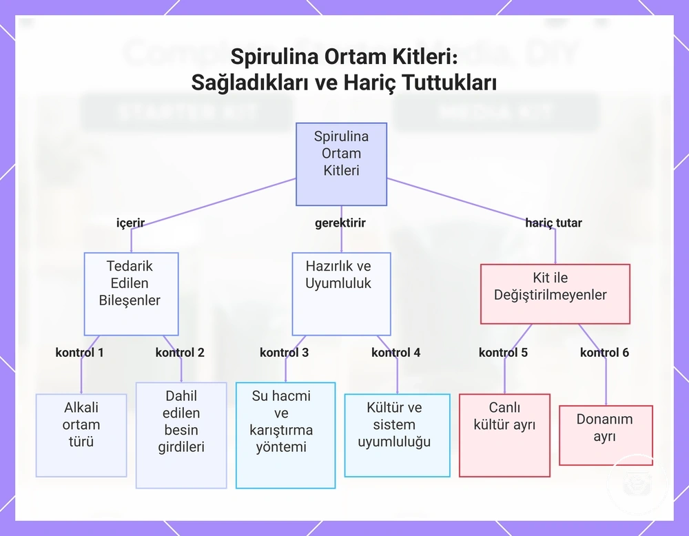 Spirulina Ortam Kitleri: Sağladıkları ve Hariç Tuttukları