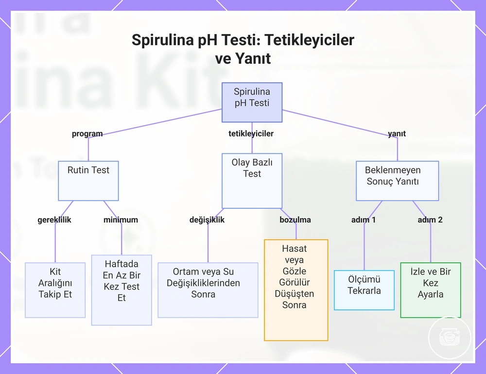 Spirulina pH Testi: Tetikleyiciler ve Yanıt
