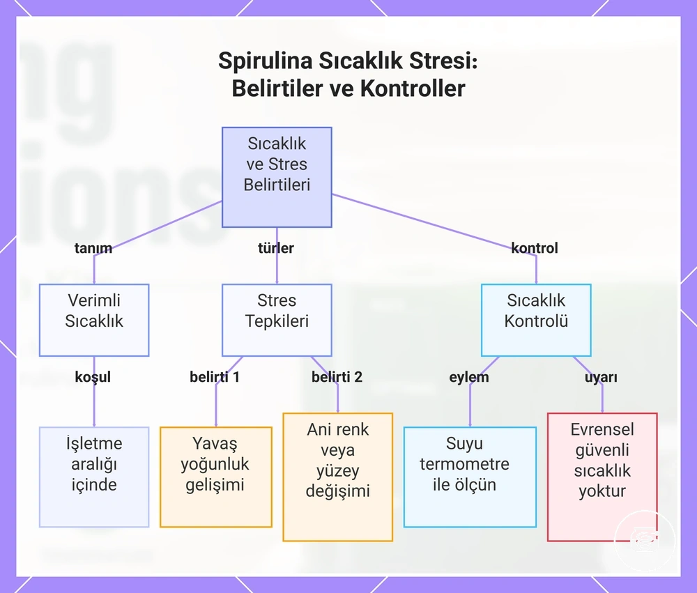 Spirulina Sıcaklık Stresi: Belirtiler ve Kontroller