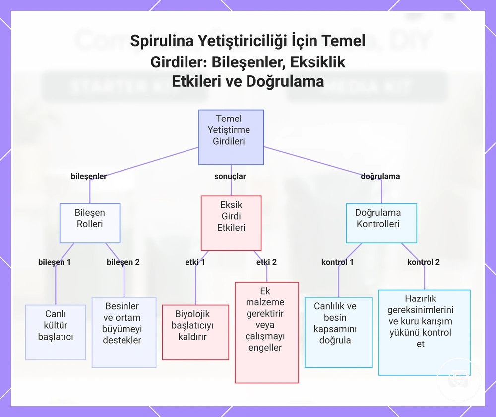 Spirulina Yetiştiriciliği İçin Temel Girdiler: Bileşenler, Eksiklik Etkileri ve Doğrulama