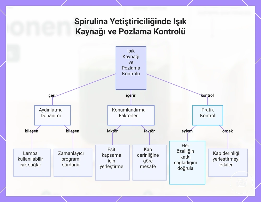Spirulina Yetiştiriciliğinde Işık Kaynağı ve Pozlama Kontrolü