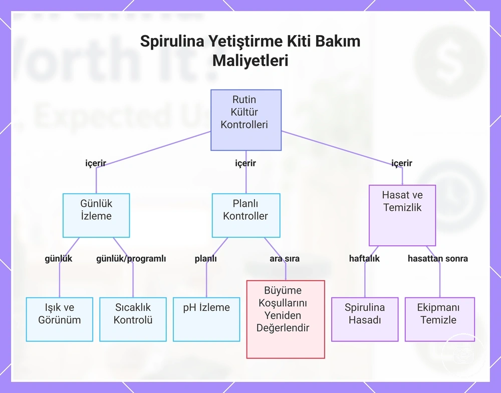 Spirulina Yetiştirme Kiti Bakım Maliyetleri
