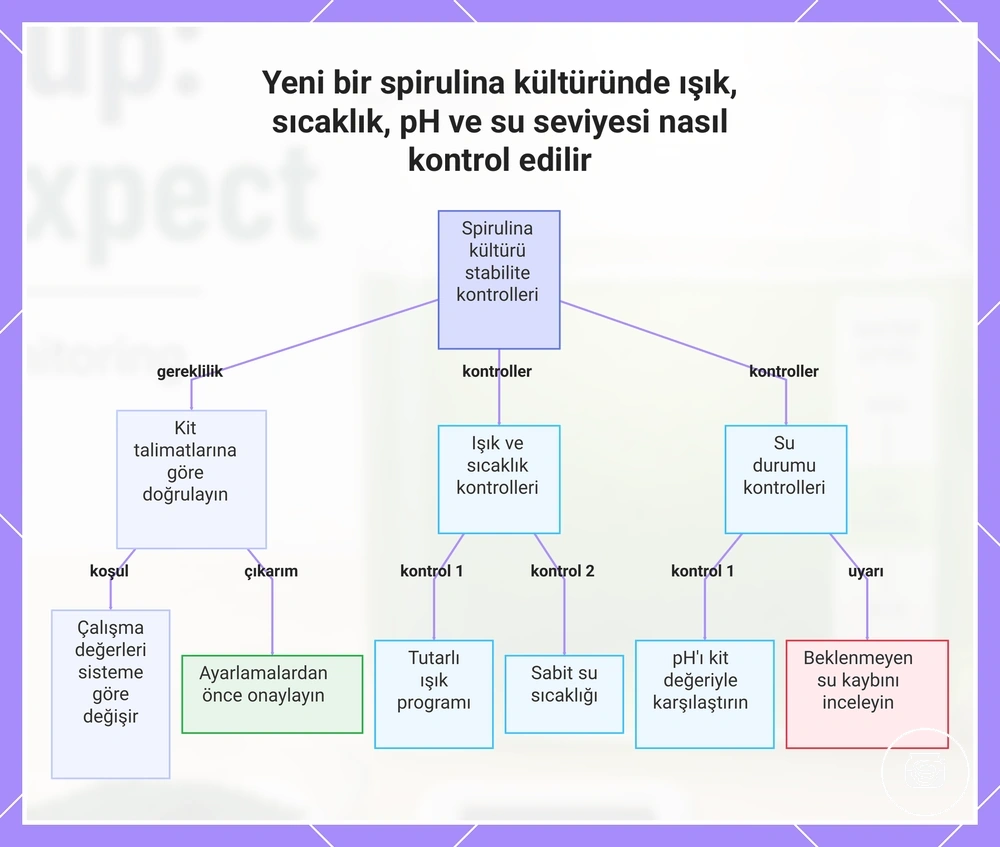 Yeni bir spirulina kültüründe ışık, sıcaklık, pH ve su seviyesi nasıl kontrol edilir