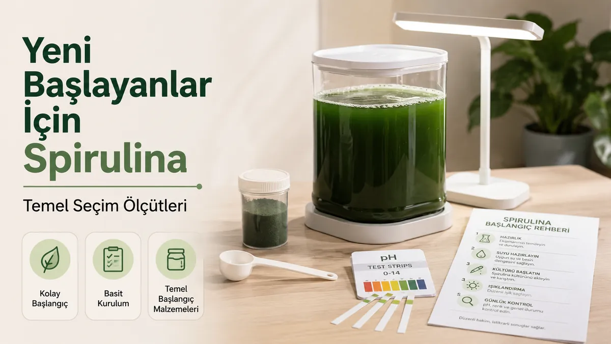 Basit talimatlar ve başlangıç malzemeleriyle düzenlenmiş yeni başlayanlara uygun spirulina yetiştirme kiti
