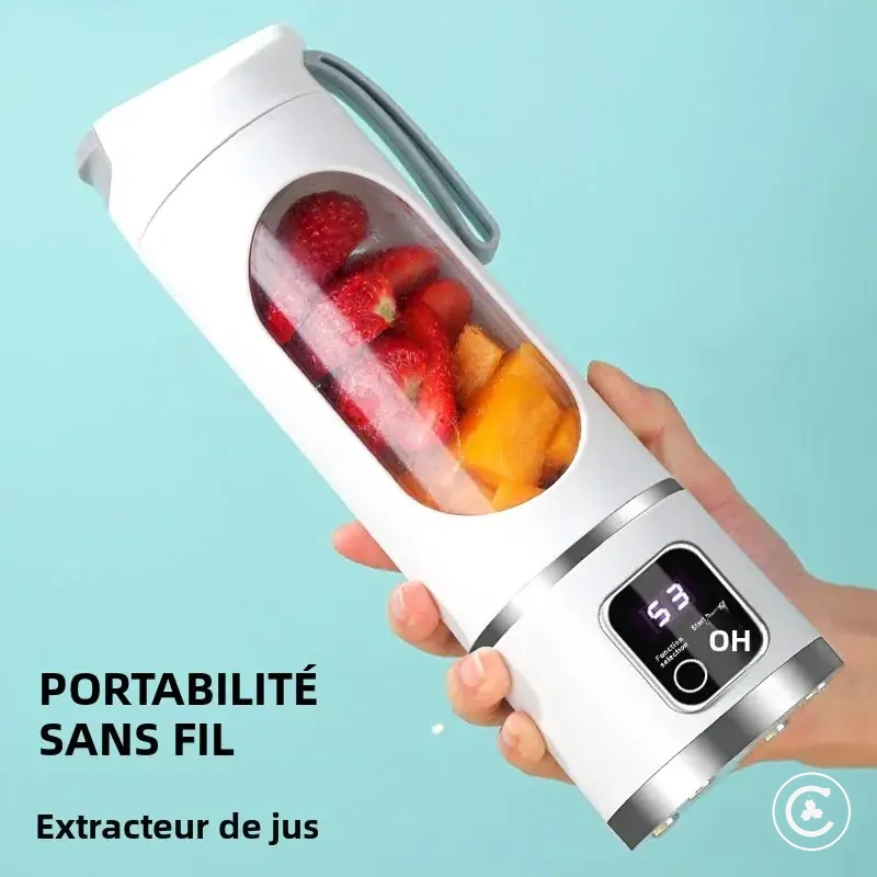 Portable fruit juicer with 10 blades and 450ML capacity