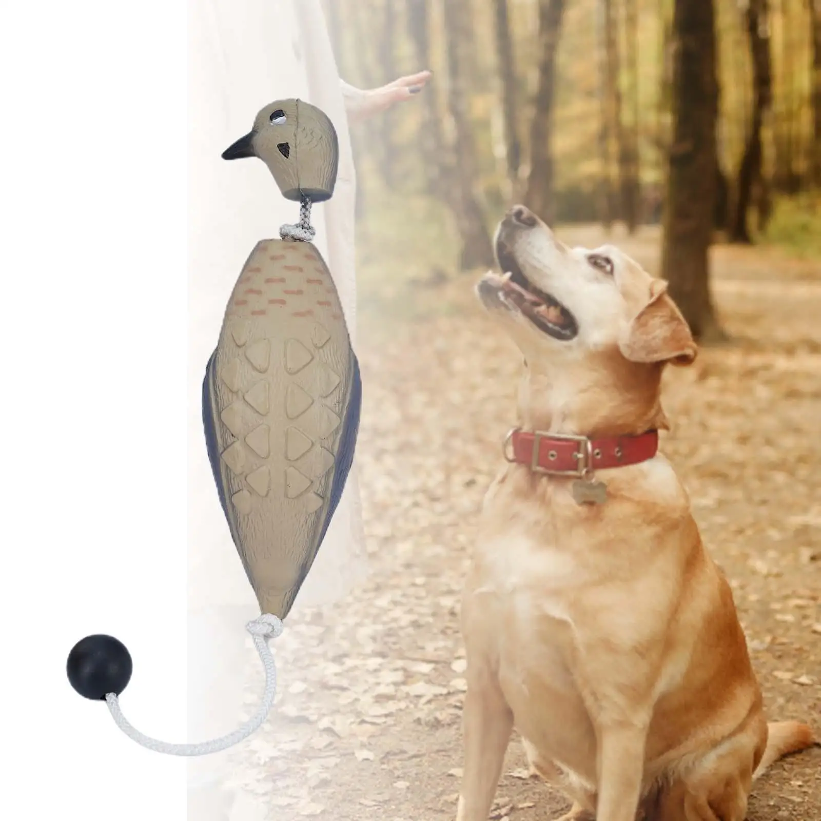 Hunting Decoy Waterproof Realistic Birds for Dog Training Dog Chew Toy Dove Decoy for Garden Yard Pool Landscape Farm Pond Hunting Decoy Waterproof Realistic Birds for Dog Training Dog Chew Toy Dove Decoy for Garden Yard Pool Landscape Farm Pond