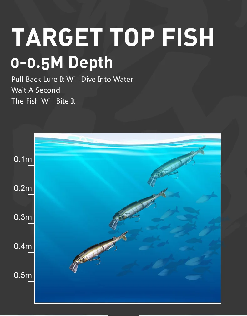 Cible Top Poisson