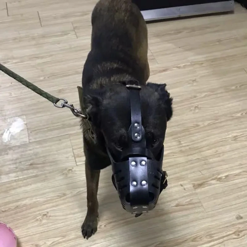 Muselière en cuir pour chien