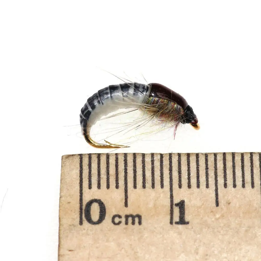 Image 5