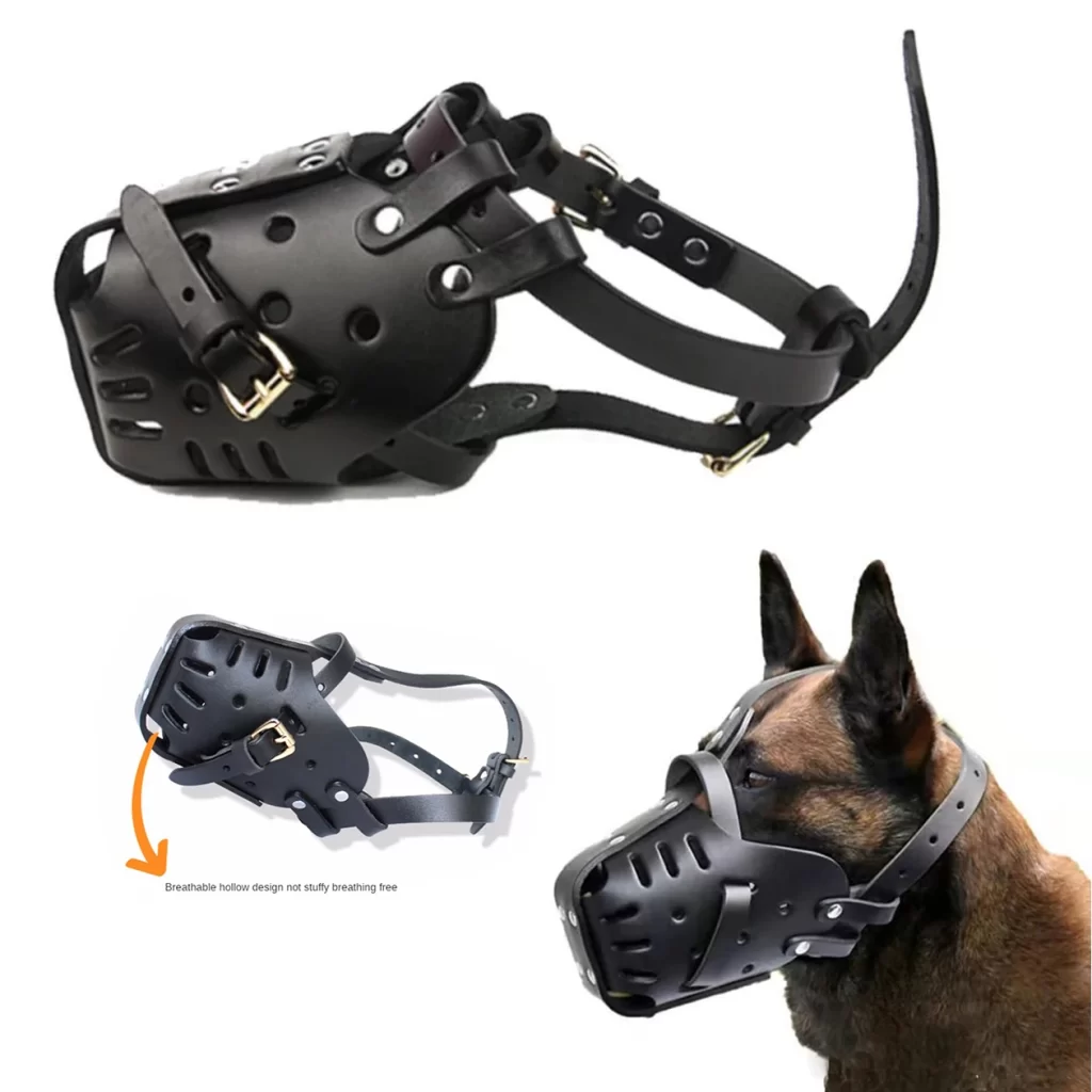 Caisse Chien Chasse