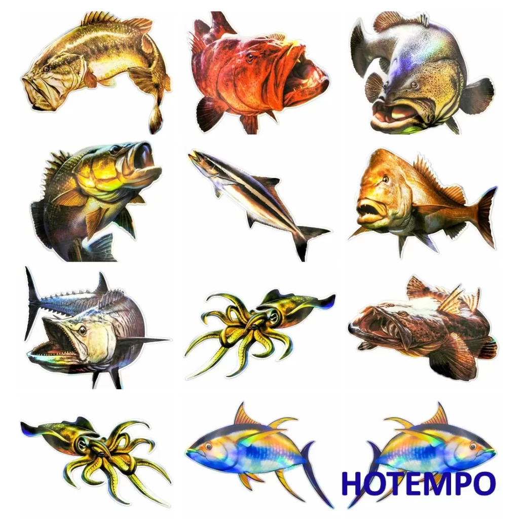 Filet De Peche Decoratif