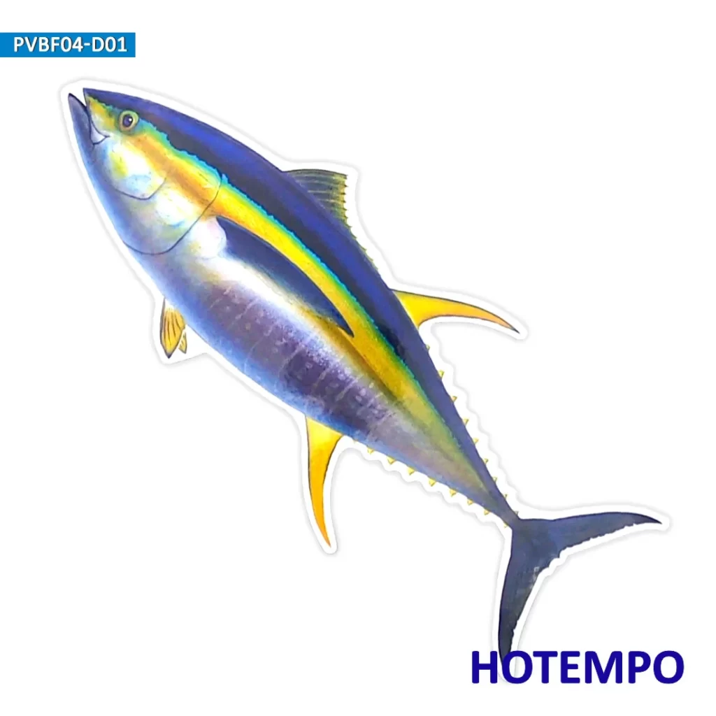 Filet De Peche Decoratif