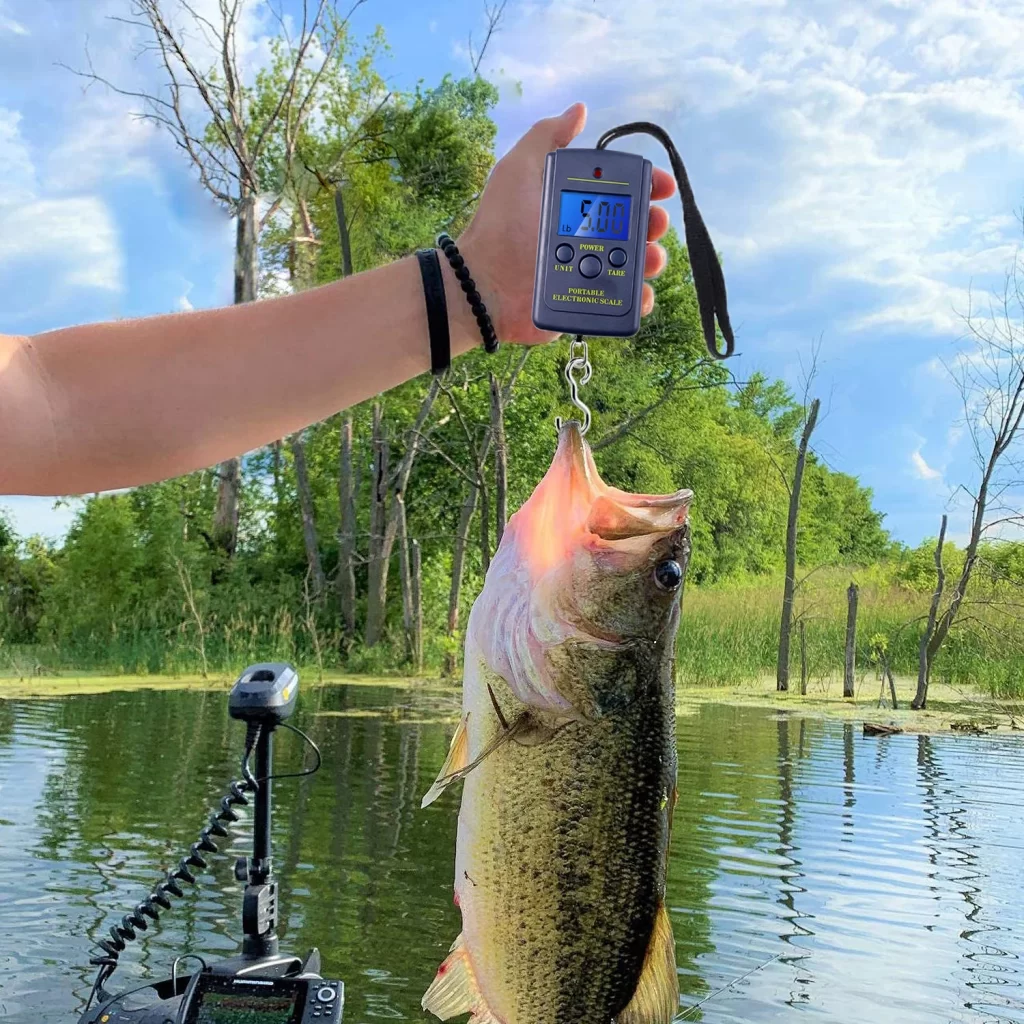 Balance De Peche