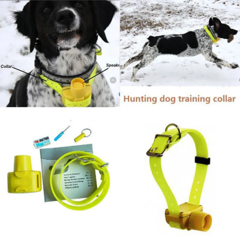 Collier Gps Chasse