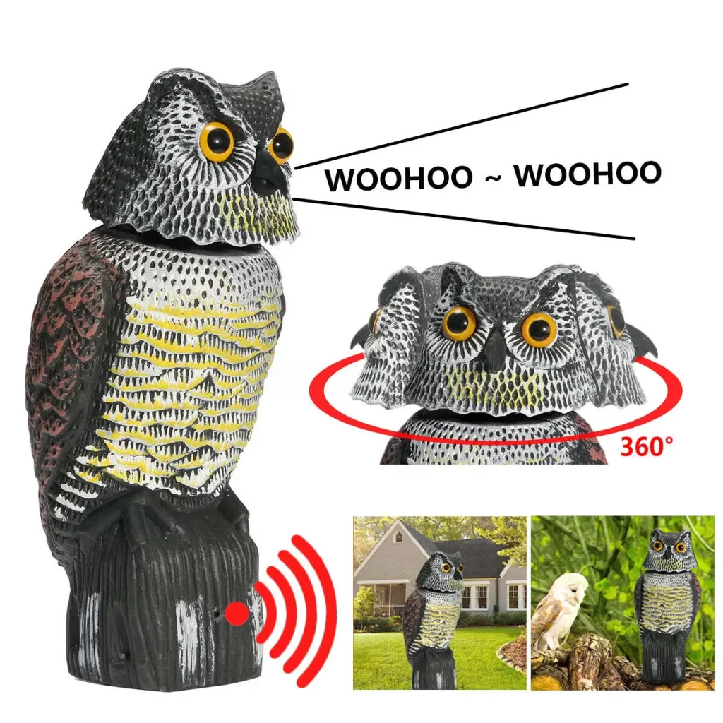 Pigeon Electrique Chasse