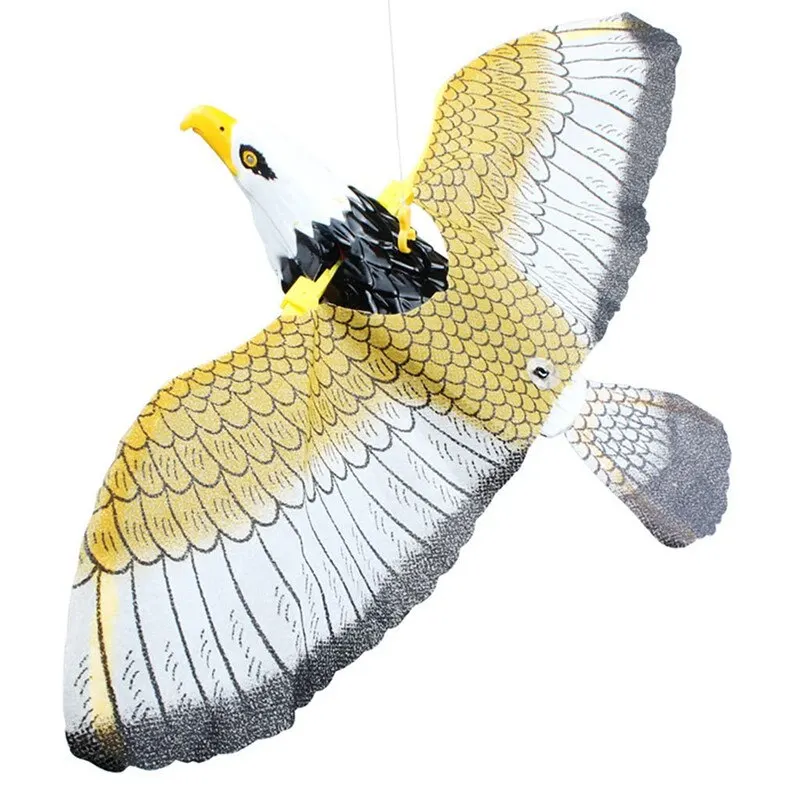 Pigeon Electrique Chasse