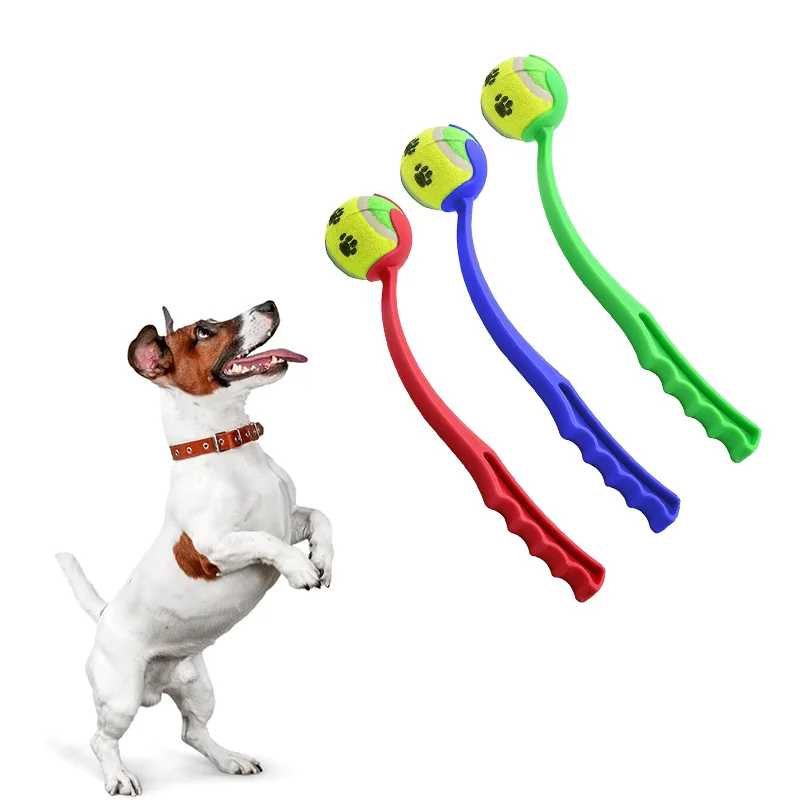 Meilleur Croquette Pour Chien De Chasse