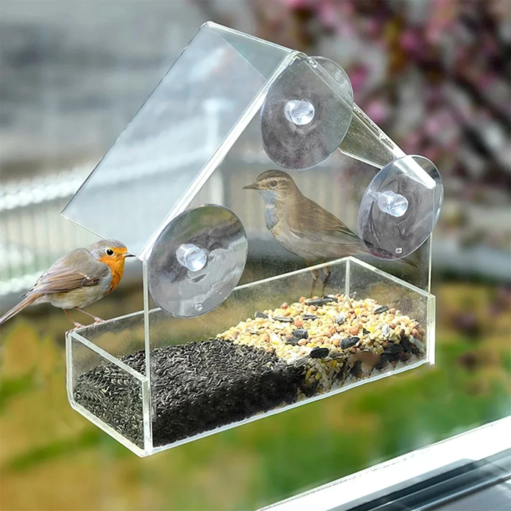 Pigeon Electrique Chasse