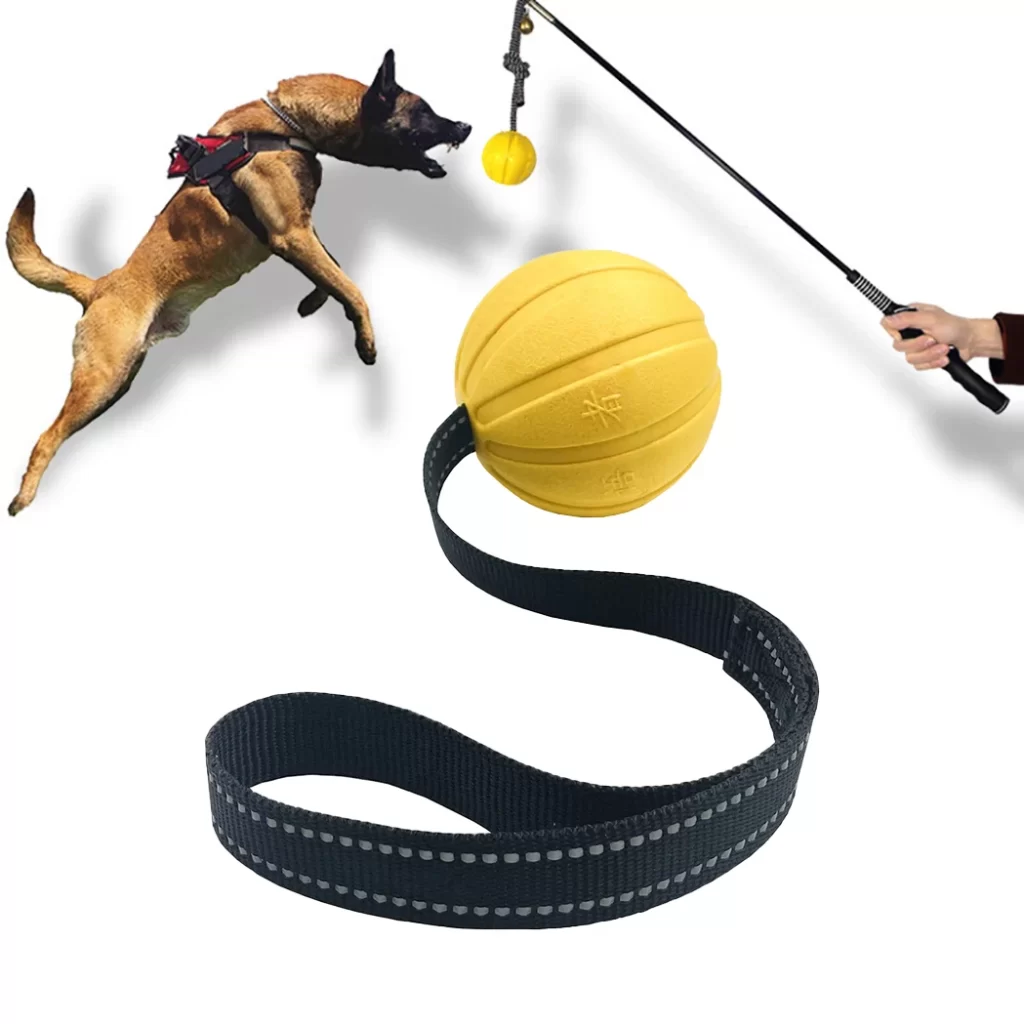 Croquette Pour Chien De Chasse Pas Cher