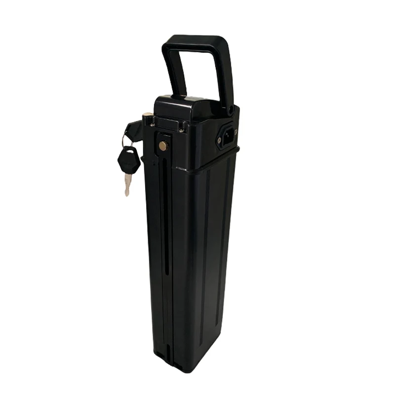 Batterie Silverfish lithium-ion