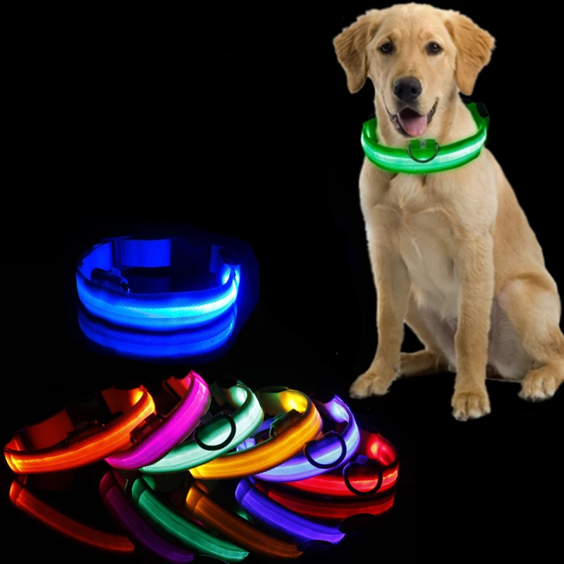 Collier lumineux LED anti-perte pour chien