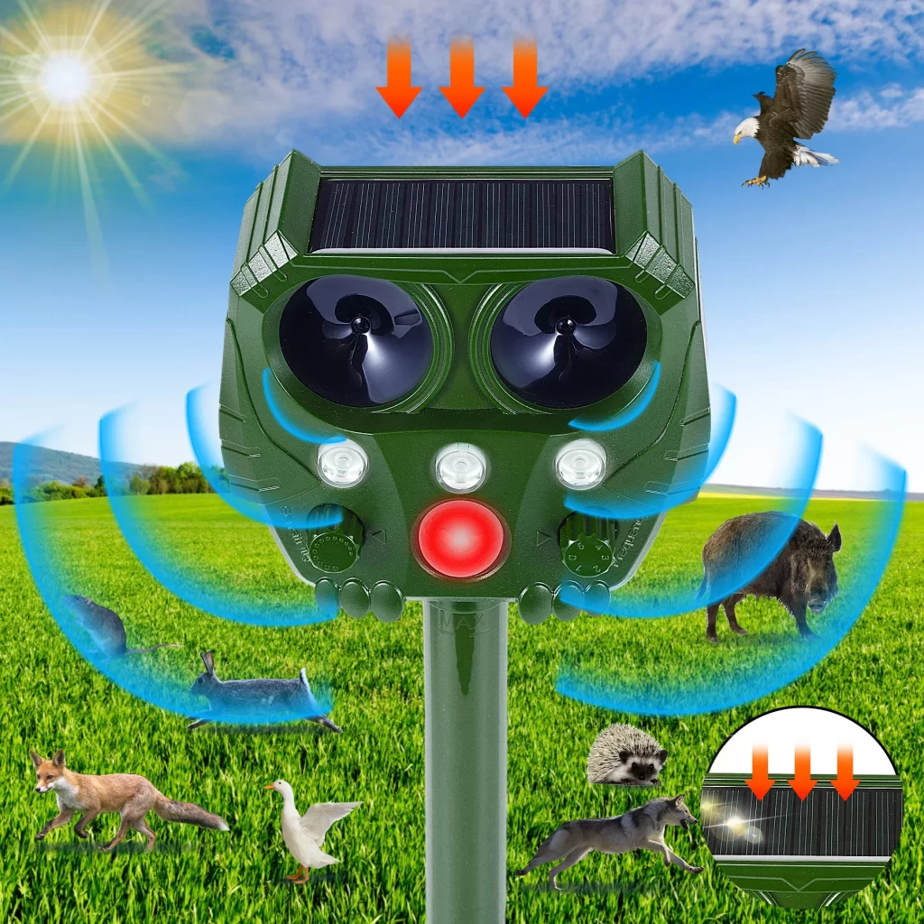 Pigeon Electrique Chasse